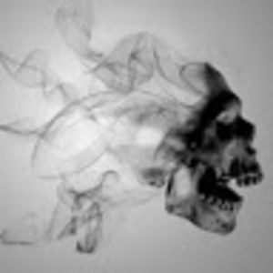 Meet your Posher, Terrell